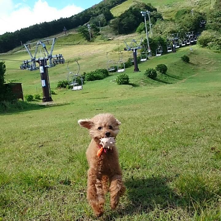 5f6bf0b2 c4ba 4d2f b56d 398426d928f6