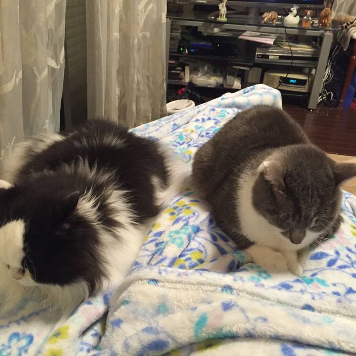 5f6d6e42 fac7 4778 8c69 59f80f67f6d5