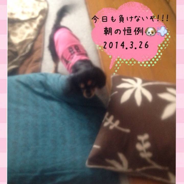 5f6deaf5 9fe7 459c a1c2 c4a26ffcef52