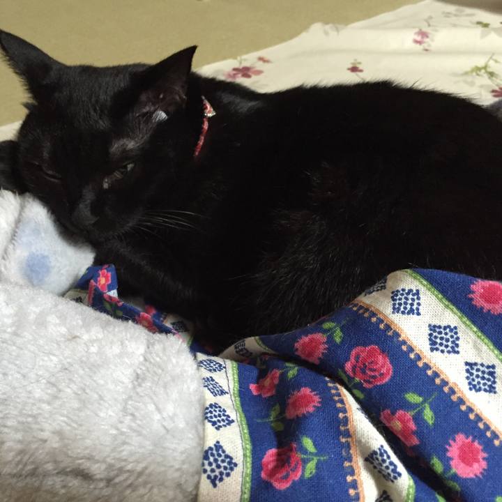 5f6e96d1 5797 413f a64d bd4073fda099