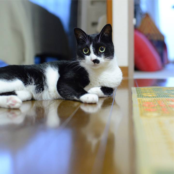 5f6e9779 e2c6 4744 b45e e11cb232c078