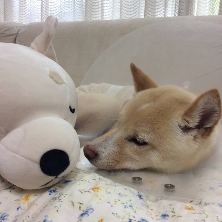 5f6f252f a76b 43dc 86ab 949f35a86adb