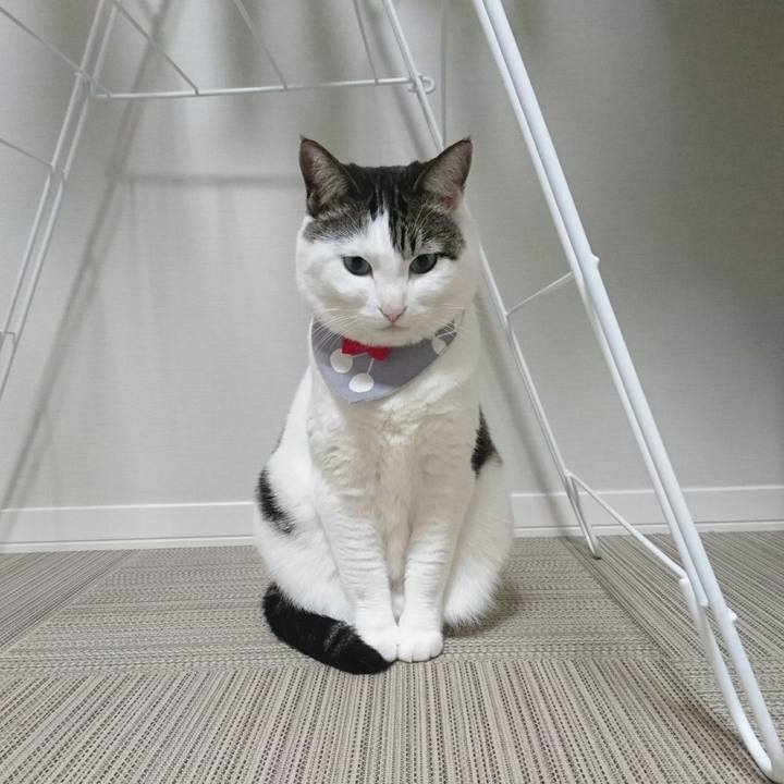 5f6f5fbf ce51 400e aef7 75cfc18d7834