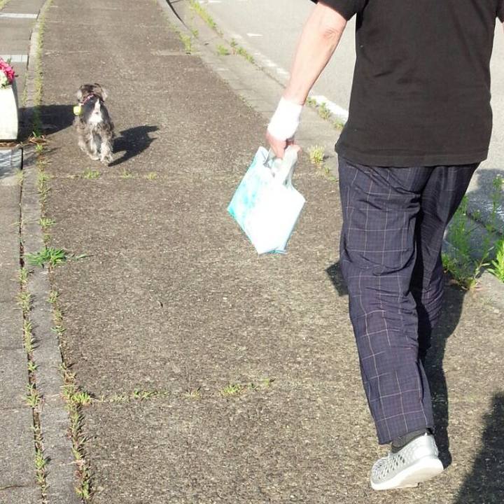 5f6f8224 bed0 4f89 9f87 b9ad1a42f3b1