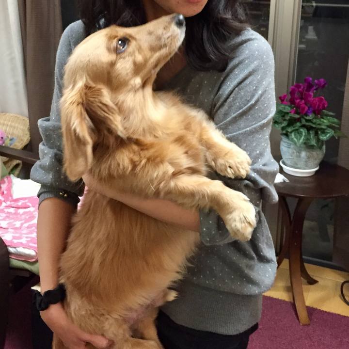 5f6f9b65 ee2e 4daa bf0c 9f03bbeaee8b