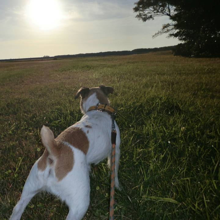 5f6fcbab 6005 40a6 96ce 9f0a69dbc42f