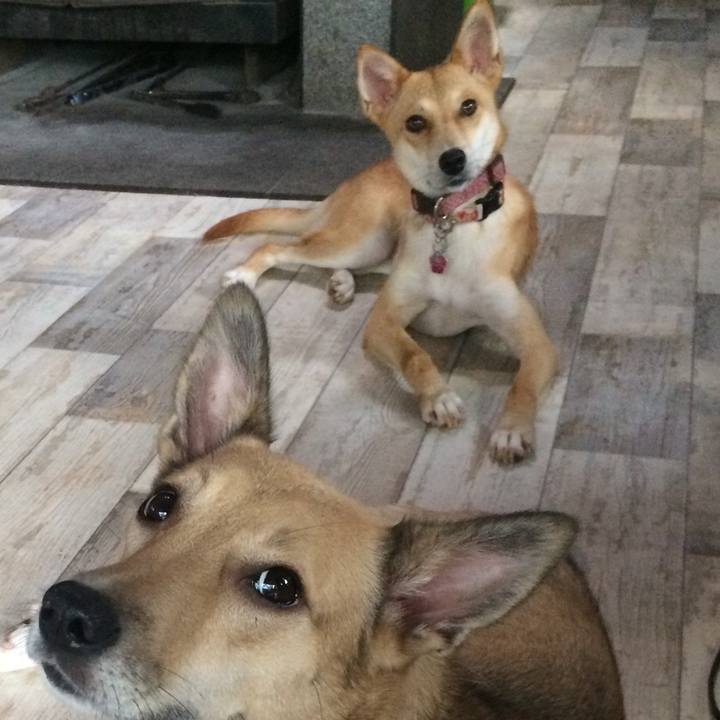 5f7075f5 fb95 4e8b aa81 2317be330976