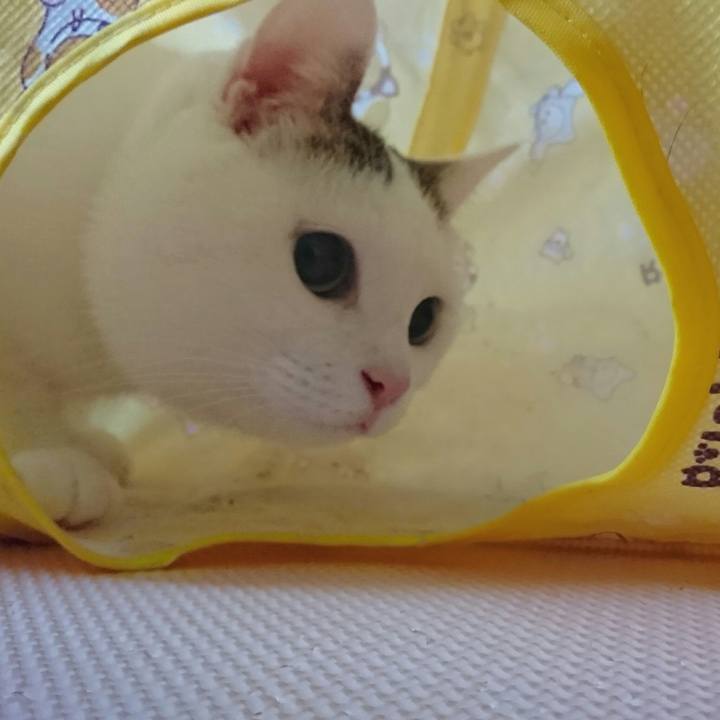 5f70dd34 fe1a 4da6 8a6f 18cdd9bf97f9