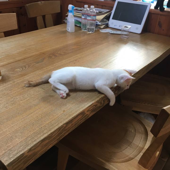 5f71205d af78 40cd b492 c2ec31b87c12