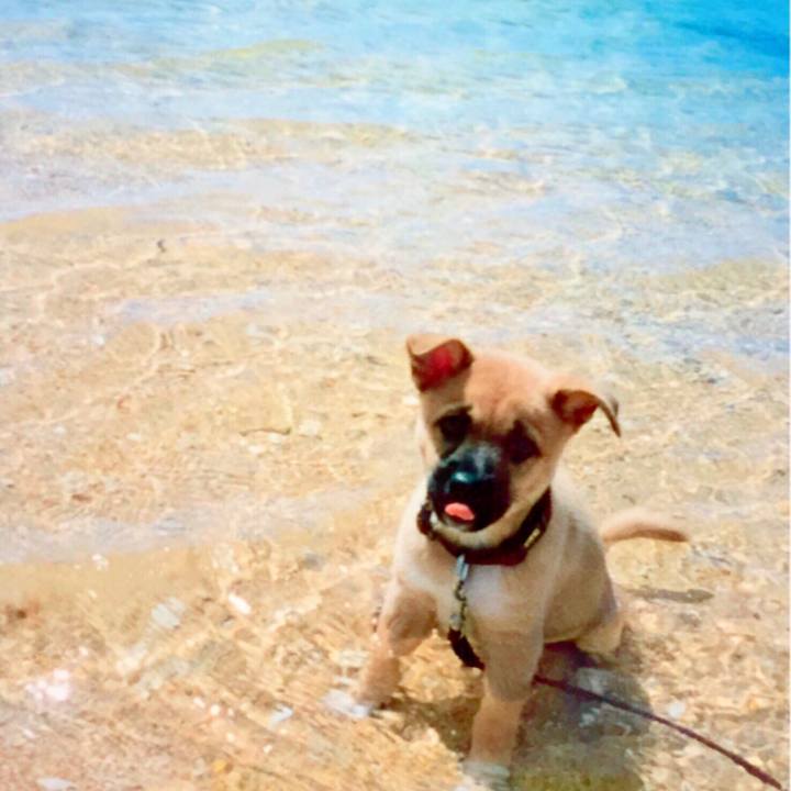 5f715f6a 2404 467e ab37 1d7f922907ec