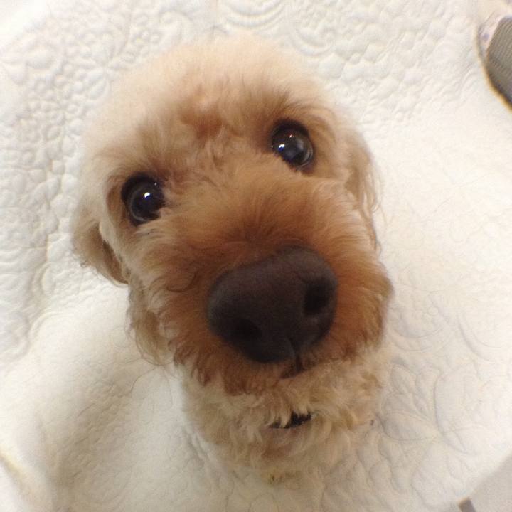 5f7205ff 0ba5 4e89 9fcd f4f0f9893520