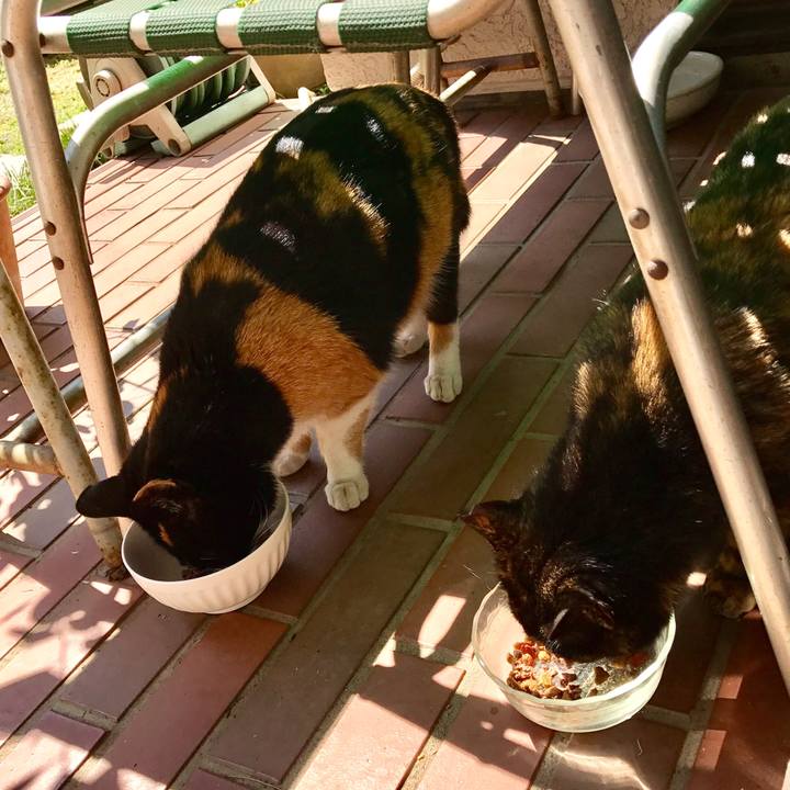 5f729da8 60e9 42f3 a175 2be914b54848