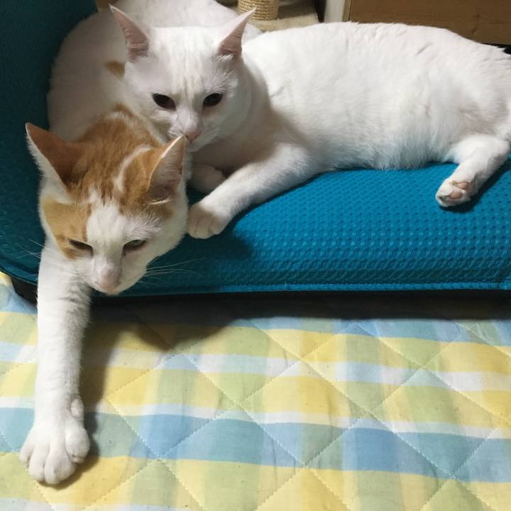 5f72f73a 42c5 4d52 8ae9 2343e5861d7c