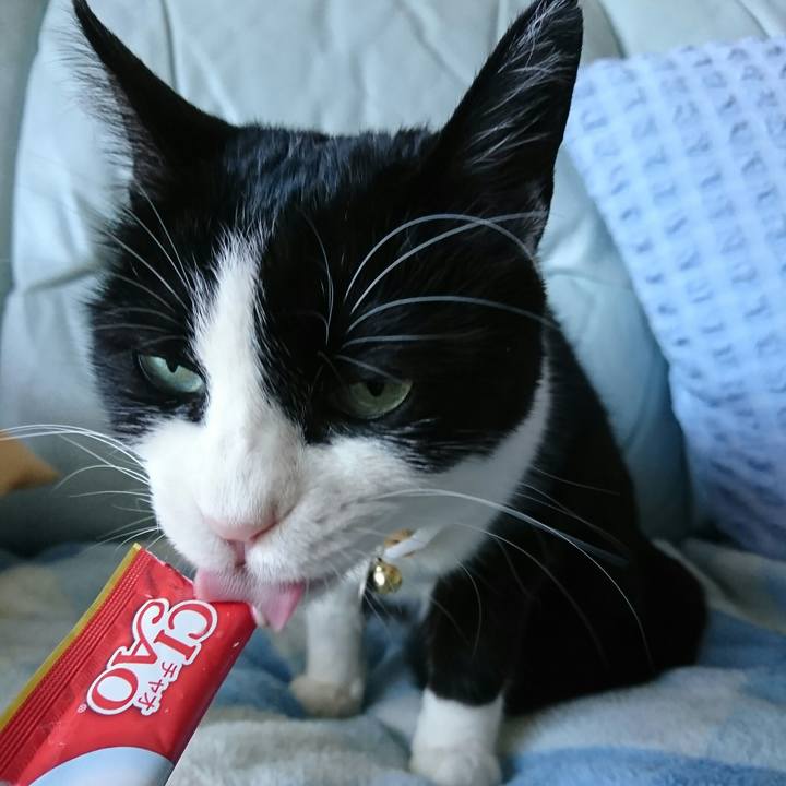 5f72f9e3 f61a 4c44 9cea 971af42d9857