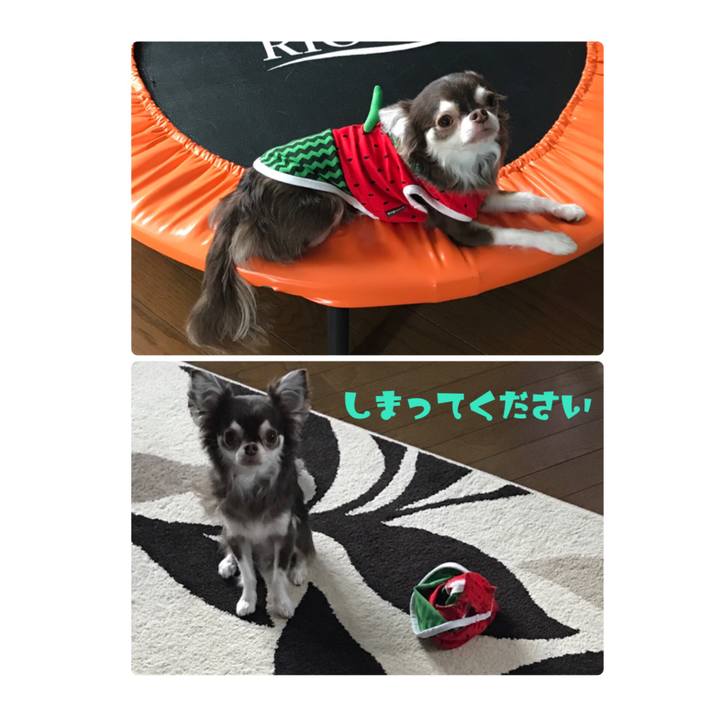 5f741a34 307d 45f3 8e55 67baf7894205