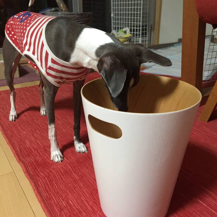 5f746484 583c 4df4 bea2 4c5dfa49359c