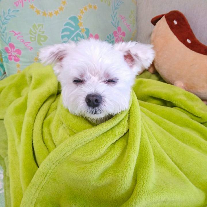 5f74875a c46b 41b0 bb47 8ef48b10cffc