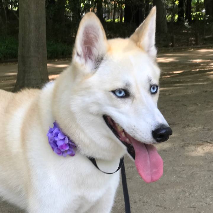 5f75736f af31 4d0c a568 49009e1e5717