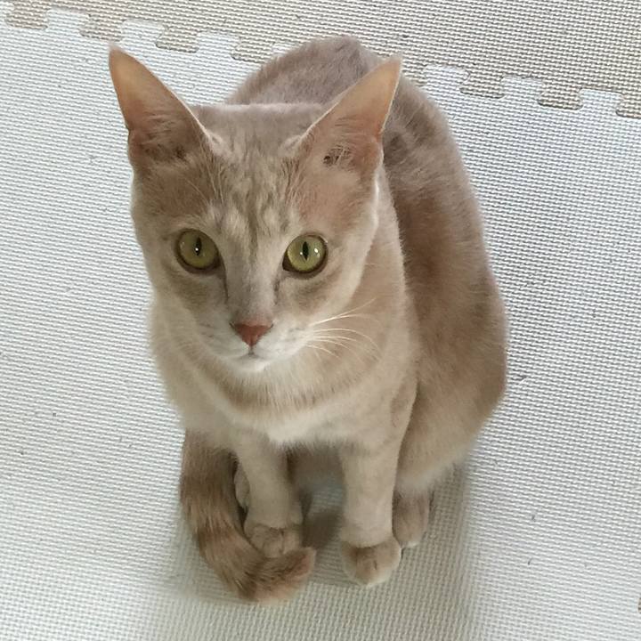 5f75d6c6 6193 484c b8ce 3c0f7c73f762