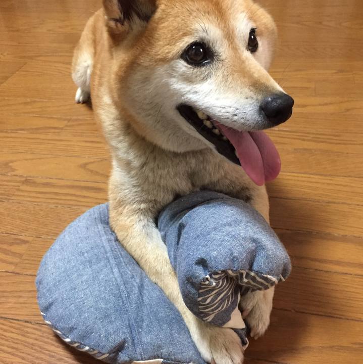 5f76b476 761c 4788 9594 47a53fc85b20