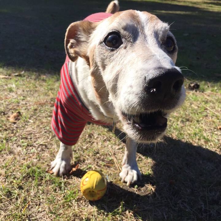 5f7706d5 9ff1 4f44 8d4b 01f56f861e44