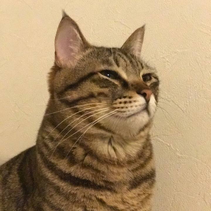 5f773f15 e91c 4d55 9e4e 202779f5d44a