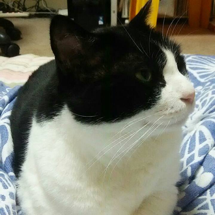 5f786609 4bd1 4338 93c6 43e932bf94b7