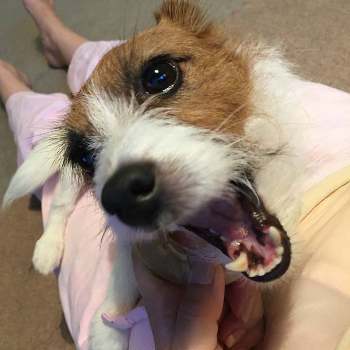 5f7939a3 2923 46b1 82a0 448f4cae3236