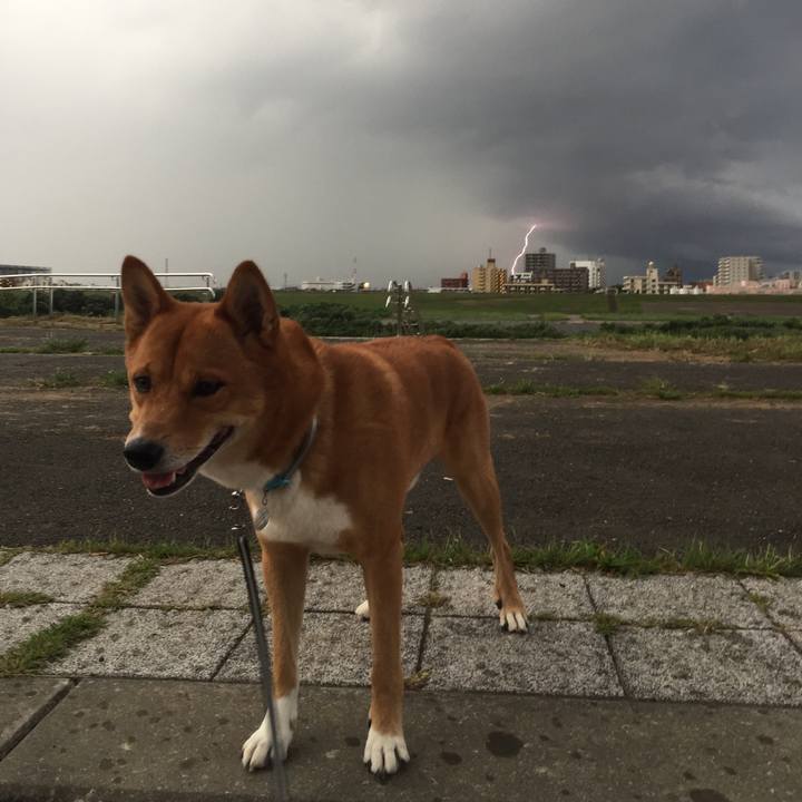 5f796084 7cec 4b11 aff4 14940b20ecde