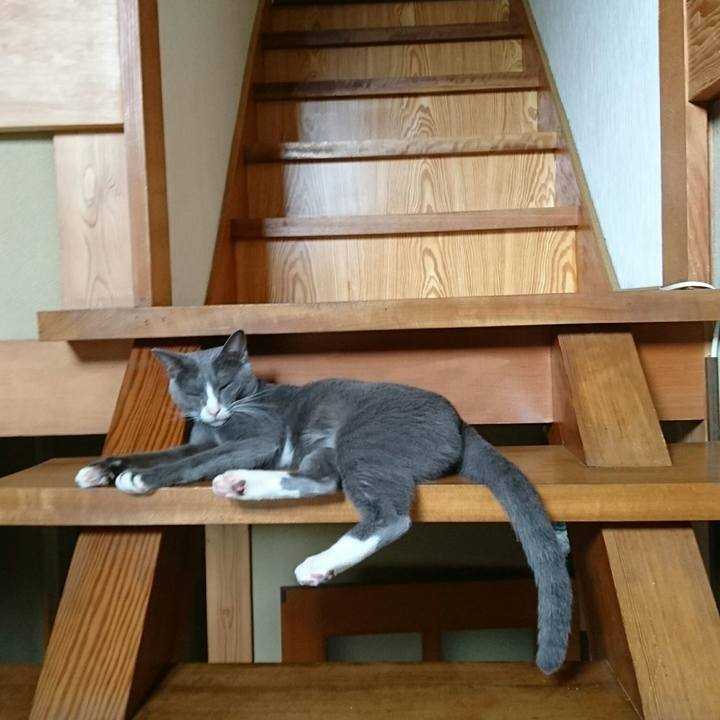 5f7a14db d6a6 4f71 a36d 9cddf8bdd964