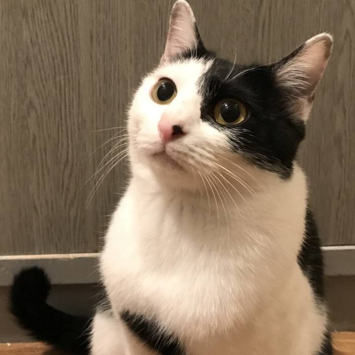 5f7ae265 57c1 4e16 ac05 c90016430835