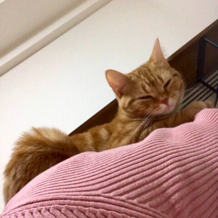 5f7bf6df 98d4 4879 b19b 26f20e1cad33