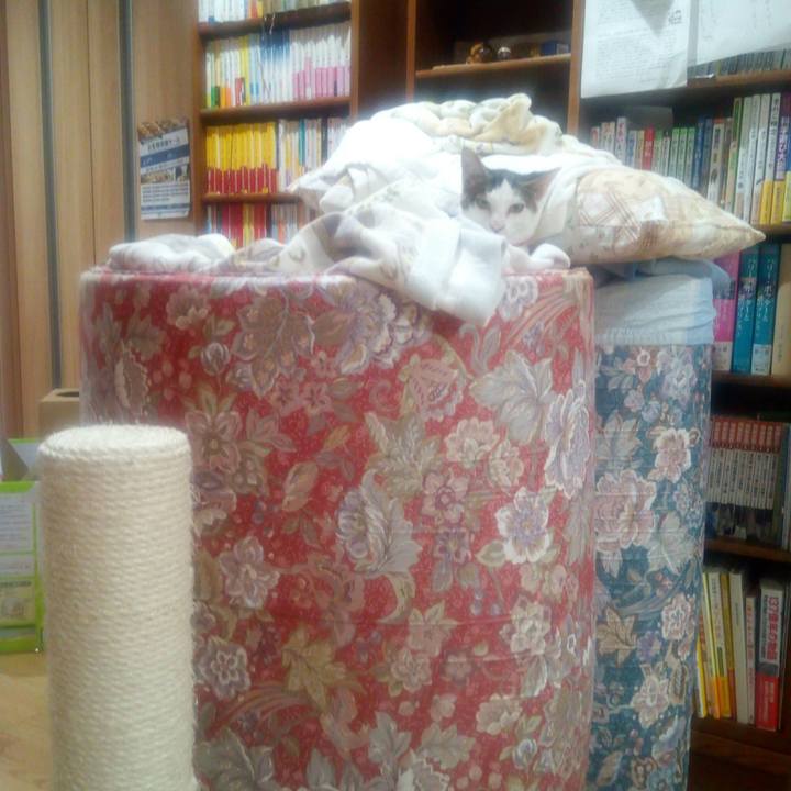 5f7c1d08 2544 46a3 b473 fc274534ba92