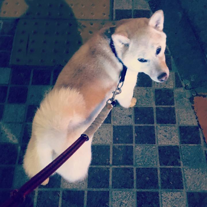 5f7c68f9 0140 4622 9577 039cd9d8ddde