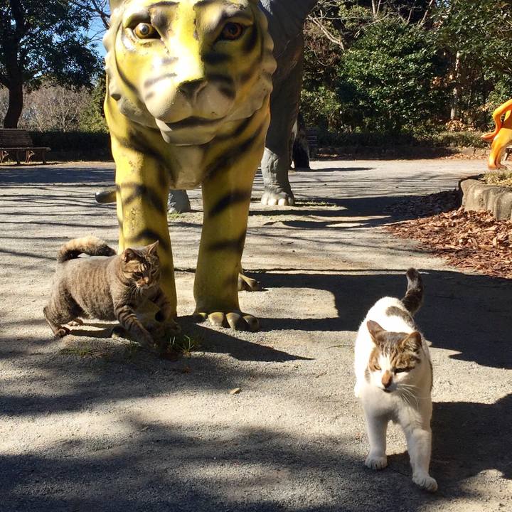 5f7cc07f 36c2 4c92 ae68 b3aa26ef3e89