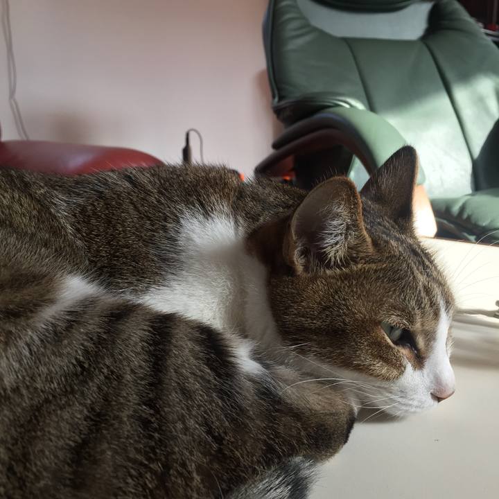 5f7dba68 34e9 4955 b8ce 1391105180b0