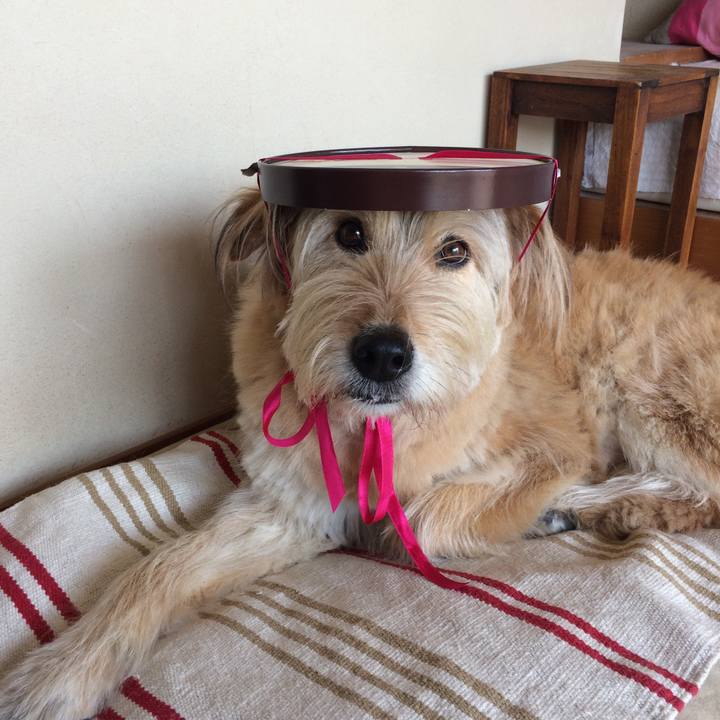 5f7dbad1 81ac 4a05 9f53 dbcb2ef2120a