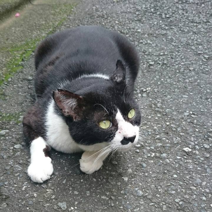 5f7e1138 b452 4603 a093 fba250e3c2d7