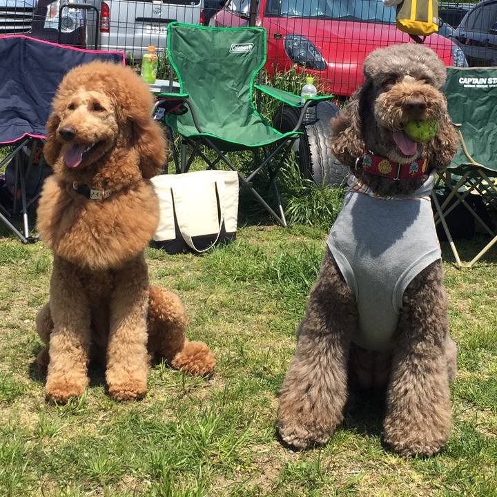 5f7f0204 b84f 41de 9b78 ec57dd099b1c