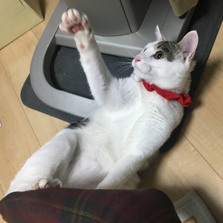 5f7faeec 4cb2 41f3 ba59 1c5de79a359e