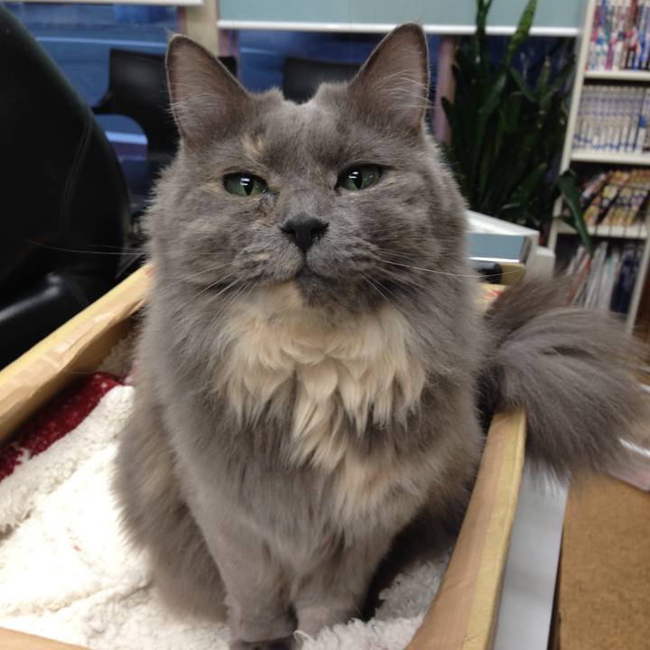 5f7fbb6d 62d1 4f24 b42d 2e2f4a286e53