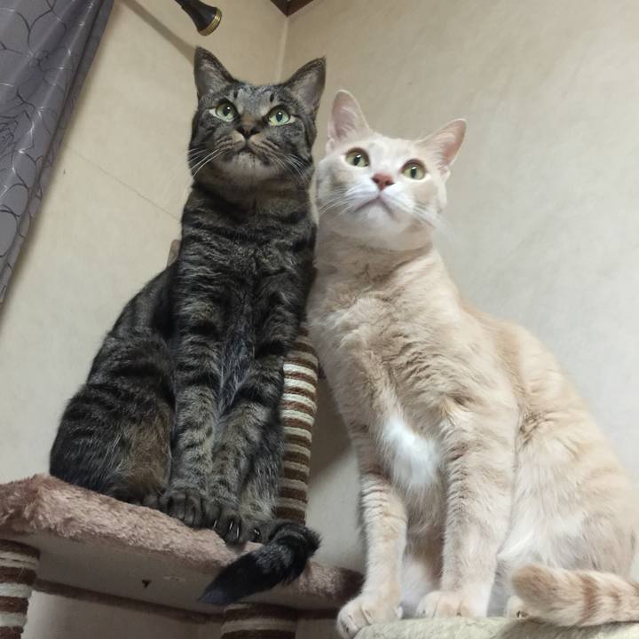 5f7fbce5 6b37 4c52 a4f9 2236915d8ea8