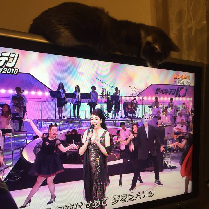 5f80d4c5 7d75 4729 9b80 304ecb897bf6