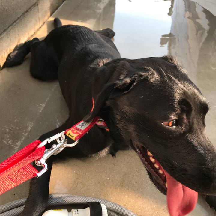 5f80e8e0 aaa2 4388 bbec 56107d7a3dac