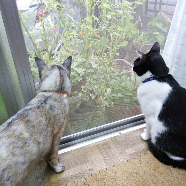 5f80fb90 b911 47df aa9b d95b8a501386