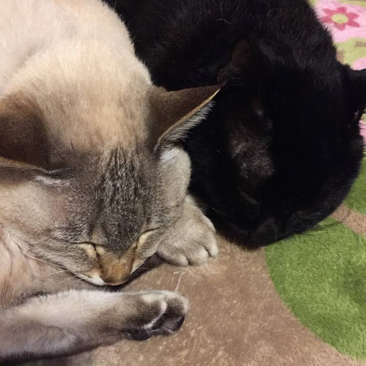 5f8100e5 0892 487f b7dd f69eaa0a36f7