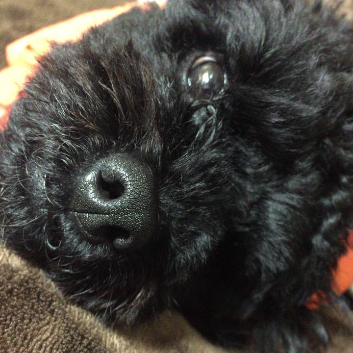 5f81586f d719 48af 9b8f d68c453c886b