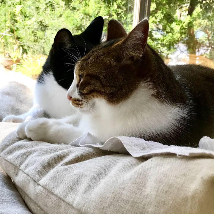 5f827f82 6af4 45ea b609 06a594c8e40d