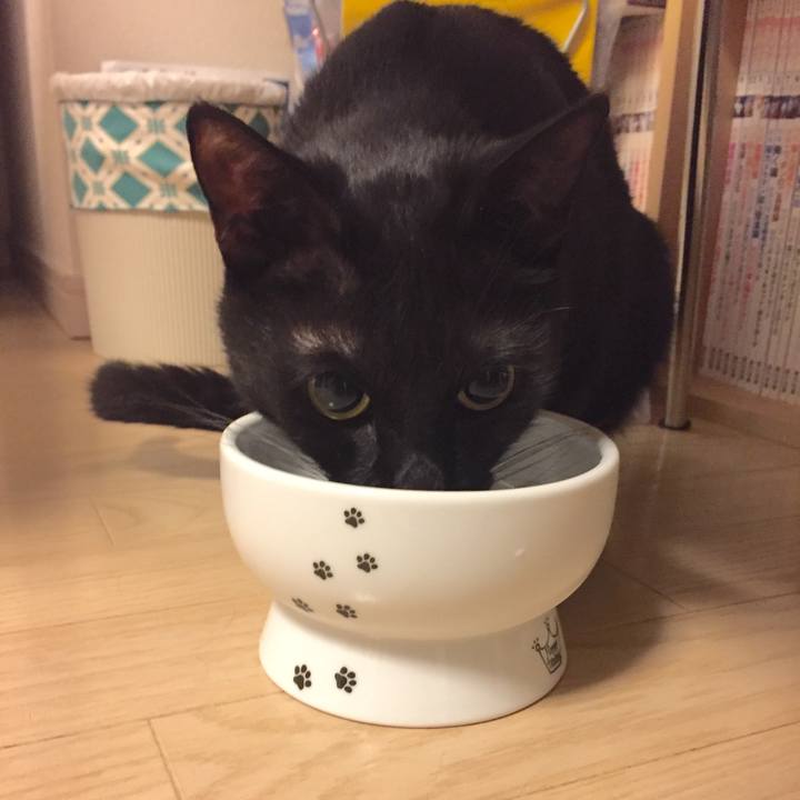 5f82baf1 6705 4420 9b04 a0faa23ee0e5