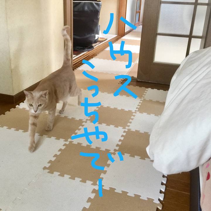 5f83a1c1 3bad 472d 9493 07b28b0ba70f